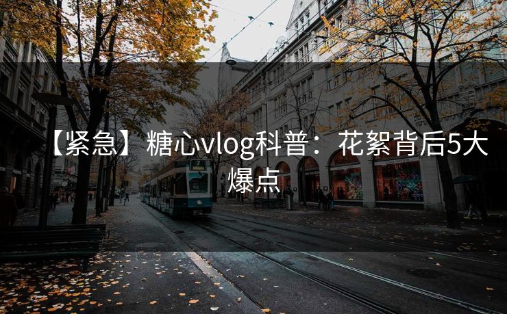 【紧急】糖心vlog科普：花絮背后5大爆点