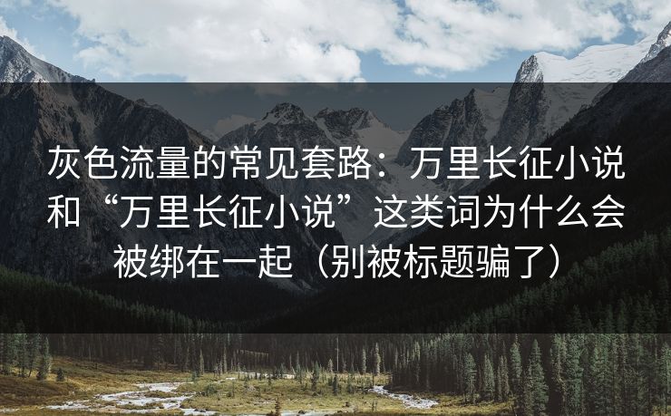 灰色流量的常见套路：万里长征小说和“万里长征小说”这类词为什么会被绑在一起（别被标题骗了）  第1张