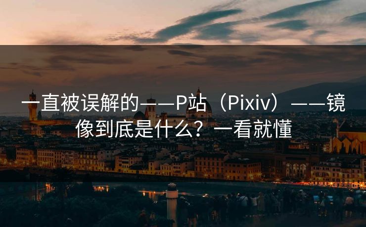 一直被误解的——P站（Pixiv）——镜像到底是什么？一看就懂