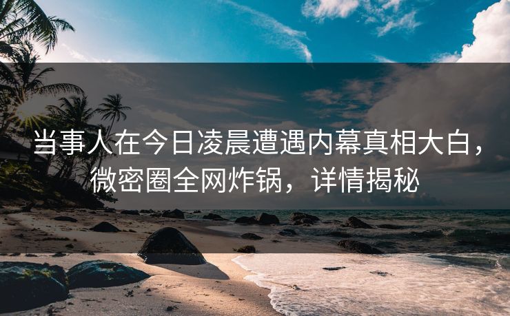 当事人在今日凌晨遭遇内幕真相大白,微密圈全网炸锅,详情揭秘