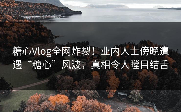 糖心Vlog全网炸裂！业内人士傍晚遭遇“糖心”风波，真相令人瞠目结舌