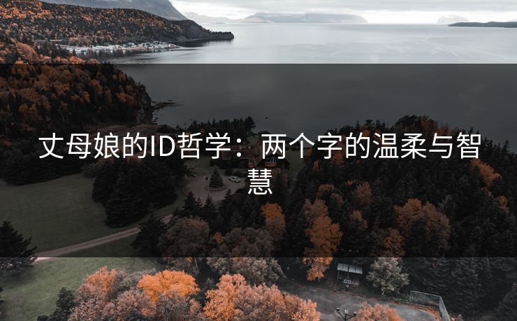 丈母娘的ID哲学:两个字的温柔与智慧 丈母娘的ID哲学:两个字的温柔与智慧
